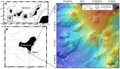 Bioprospecting Antiproliferative Marine Microbiota From Submarine Volcano Tagoro